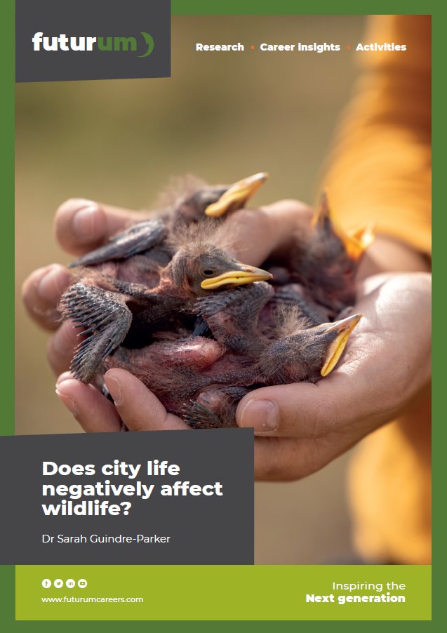 FUTURUMCareers's tweet photo. In our latest collection of free #teacher #resources, we explore #ecology with Dr Sarah Guindre-Parker (@sci_sgp) at Kennesaw State University in the US (@kennesawstate).

https://t.co/jurMuOu9Cs https://t.co/pQY7xxjP8o