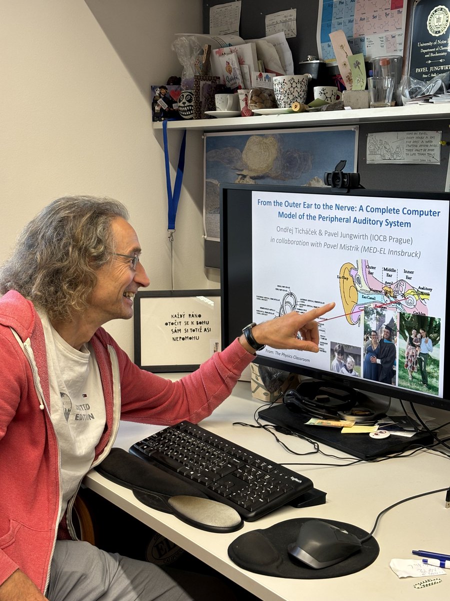 IOCBPrague's tweet image. 👂 Kompletní počítačový model ucha, pomocí něhož lze modelovat sluch savců, včetně člověka, od vnějšího ucha až po sluchový nerv, se zrodil v laboratoři Pavla Jungwirtha z @IOCBPrague @Akademie_ved_CR ve spolupráci s @medel.

Díky tomu bude možné nejen lépe prozkoumat lidské…