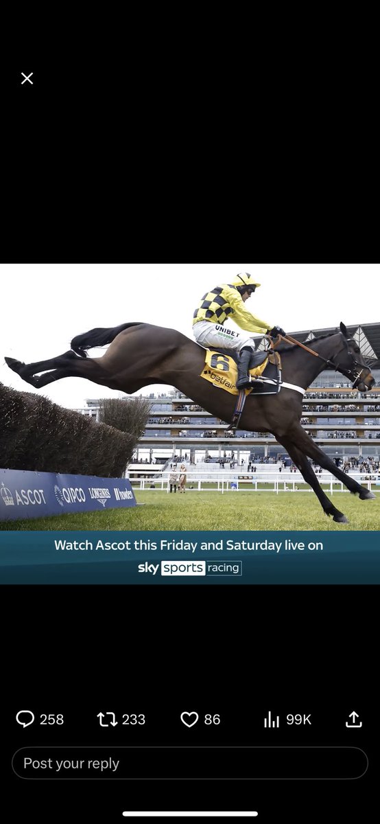 ryan_tnt180's tweet photo. @AtTheRaces @Ascot @NdeBoinville https://t.co/AELy84bhBZ