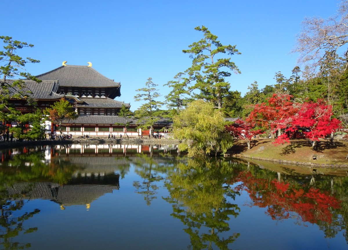 今日の大仏池と鏡池。#東大寺