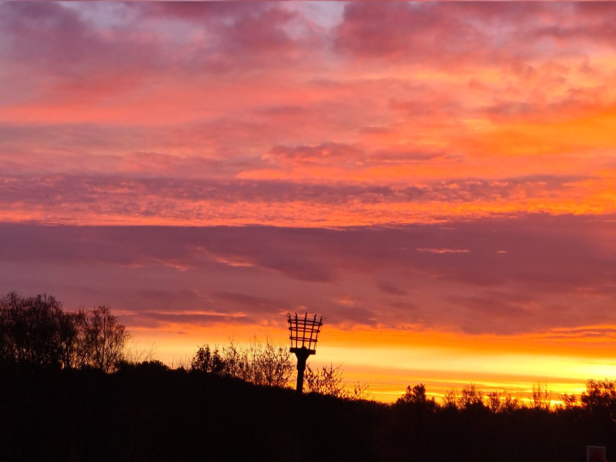 Pengegonboy's tweet photo. #Pamber Forest sunrise this morning. Ansum https://t.co/sdSeZw4KGY