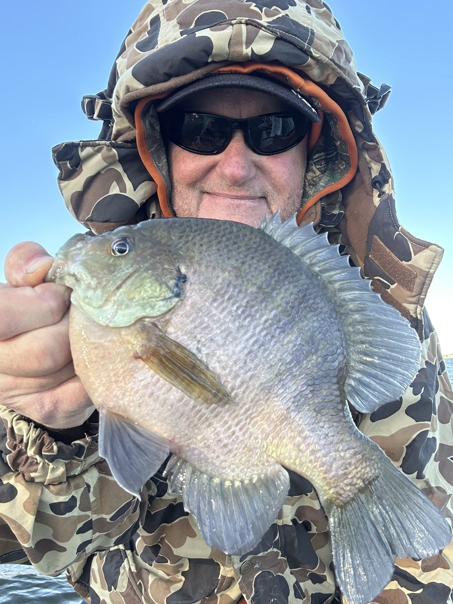 PB Bluegill caught on a @13fishing “Jeffrey” and a tiny silver tungsten jig head.