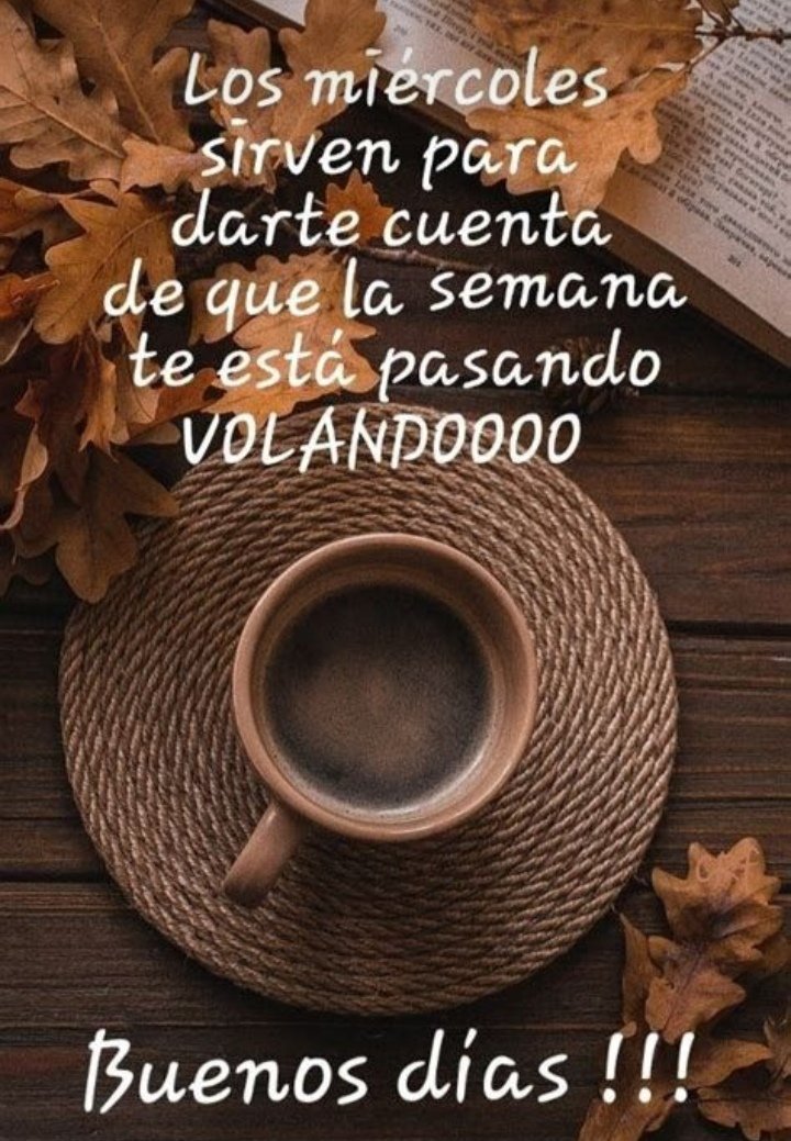 Lupe Monroy (@lupemonroy6) on Twitter photo 