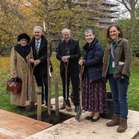 The Archbishop and his wife Caroline planted a flowering cherry tree in Lambeth Palace this morning (22 November), celebrating decades of partnership with the National Garden Scheme. Read more here 👇️ ngs.org.uk/archbishop-of-… #GardensOpenForCharity @LondonNGS @lambethpalace