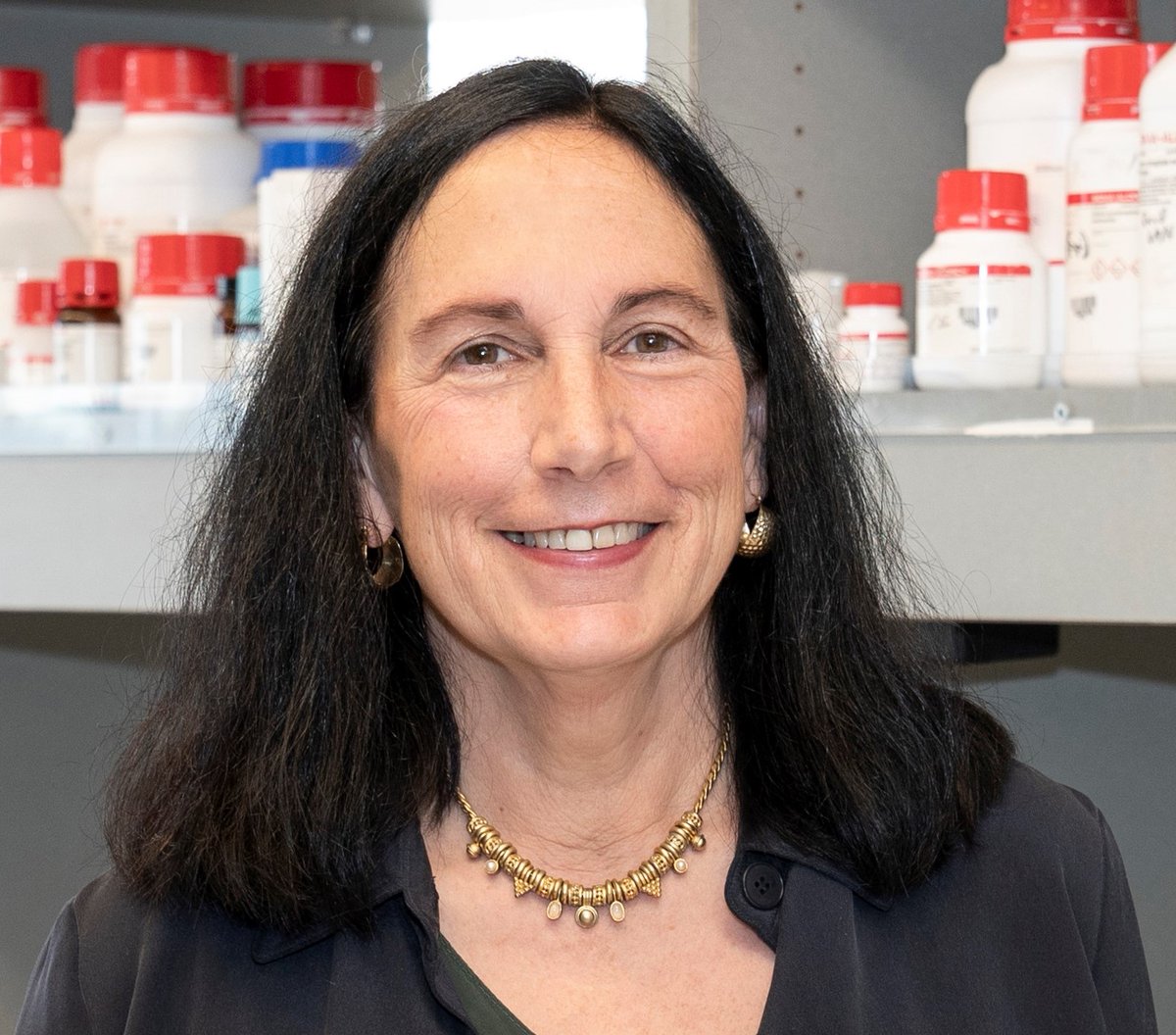 Congratulations to Marina Wolf, Ph.D. for being awarded the Julius Axelrod Mentorship Award! #ACNP2023 
What Dr. Wolf's acceptance video here: youtube.com/watch?v=qErrHY…