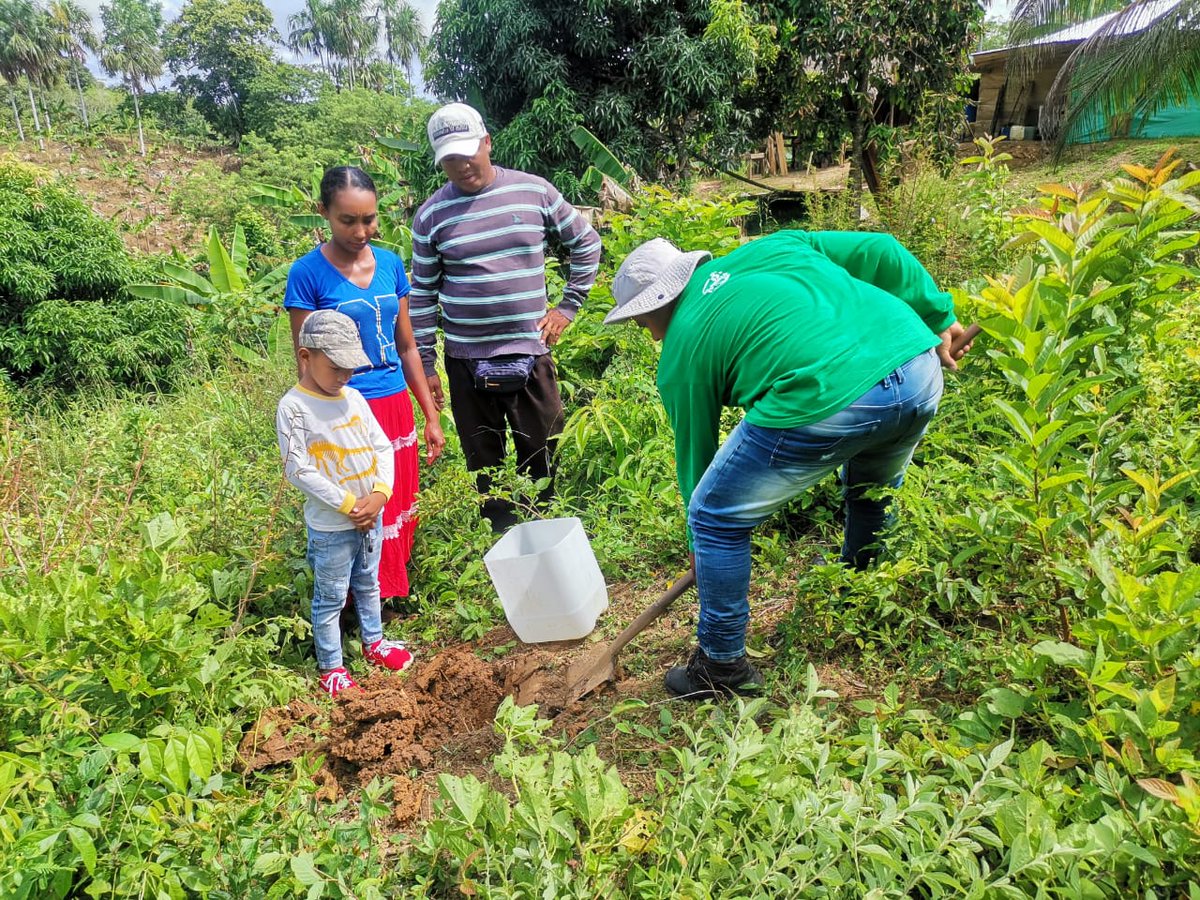 Con <a href="/Planeta_Rural/">Planeta Rural</a>, <a href="/el_BID/">Banco Interamericano de Desarrollo</a> y el <a href="/fcolombiaenpaz/">Fondo Colombia en Paz</a> 🫱🏽‍🫲🏻impulsamos la producción sostenible🙌🏻🌳 de maracuyá que realizan 👩🏻‍🌾69 familias campesinas de la asociación #Asofacan en #Necoclí, #Antioquia 🍀🇨🇴
Conoce más del proyecto en:👉🏻 lc.cx/_I12Rj