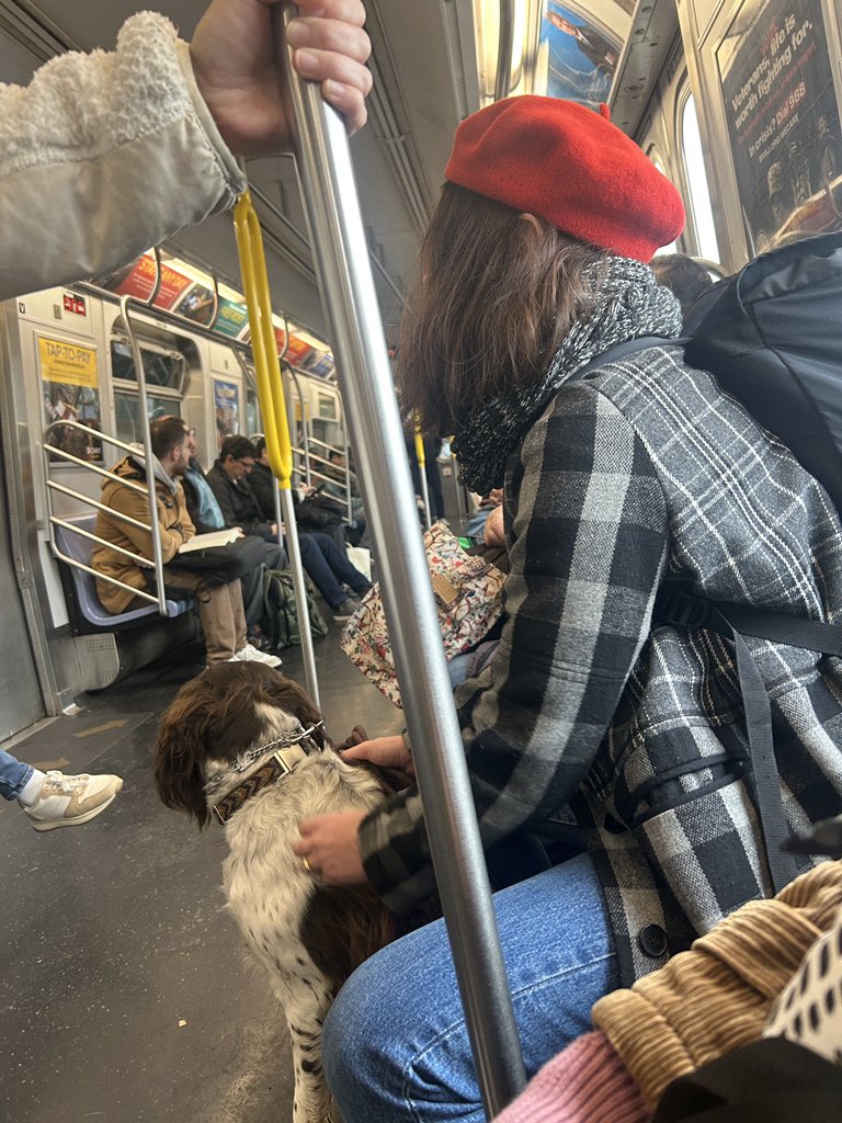 I like your dog too but it doesn’t belong out and about on the subway. At least put it in an ikea bag like people pre pandemic. This is some entitlement