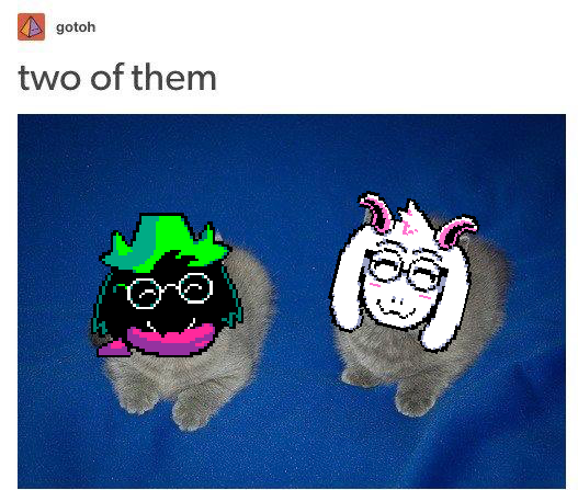 SlimyPinkSlime's tweet photo. @ralseihugs https://t.co/hSPFbxiaIF