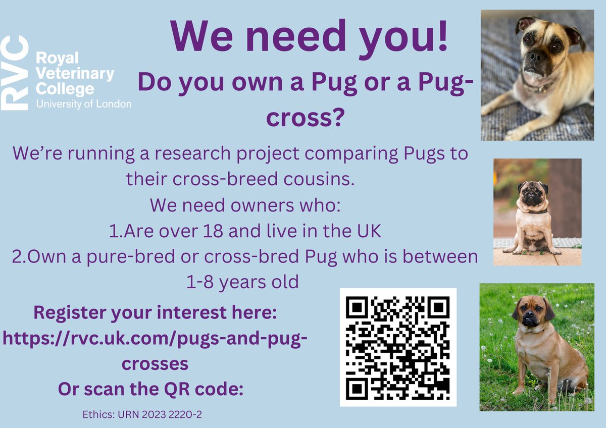 AWF (@awf_vets) on Twitter photo RVC <a href="/RoyalVetCollege/">Royal Veterinary College (RVC)</a> is looking for Pug or Pug-cross dogs to participate in a study for an AWF funded research project investigating the health & #welfare of flat-faced dogs. Can you help? 👉rvc.uk.com/pugs-and-pug-c… More about the research project: shorturl.at/eEJQ0 RVC <a href="/RoyalVetCollege/">Royal Veterinary College (RVC)</a> is looking for Pug or Pug-cross dogs to participate in a study for an AWF funded research project investigating the health & #welfare of flat-faced dogs. Can you help? 👉rvc.uk.com/pugs-and-pug-c… More about the research project: shorturl.at/eEJQ0