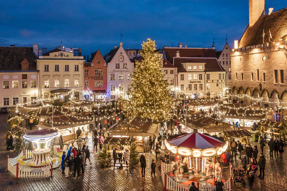 Festive tree arrives on Town Hall Square in #Tallinn around mid-day Nov 23🎄. The tradition of the public Xmas tree goes back all the way to 1441 when the Brotherhood of Black Heads put a Christmas tree up on Tallinn Town Hall Square. #VisitTallinn #VisitEstonia #Christmas2023