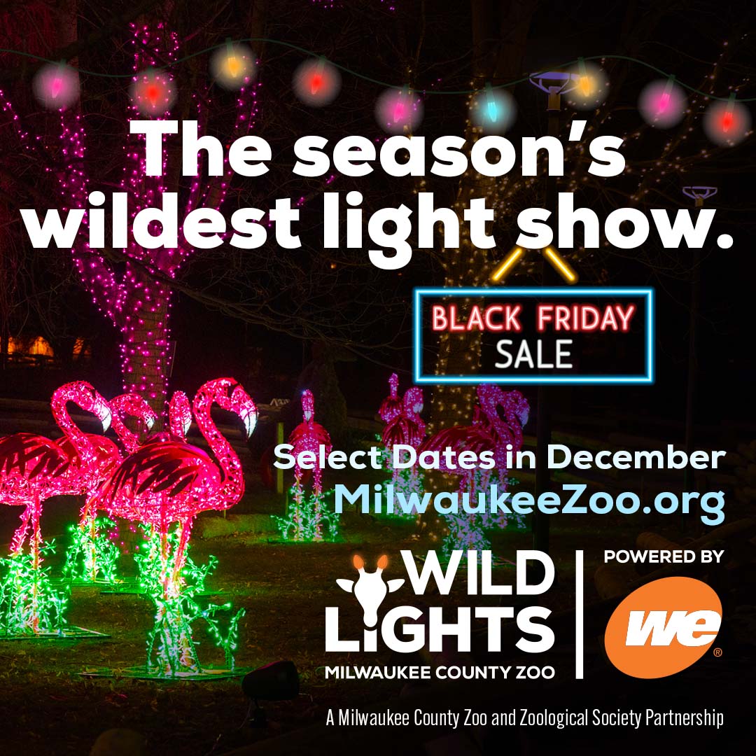 Wild black cheap friday