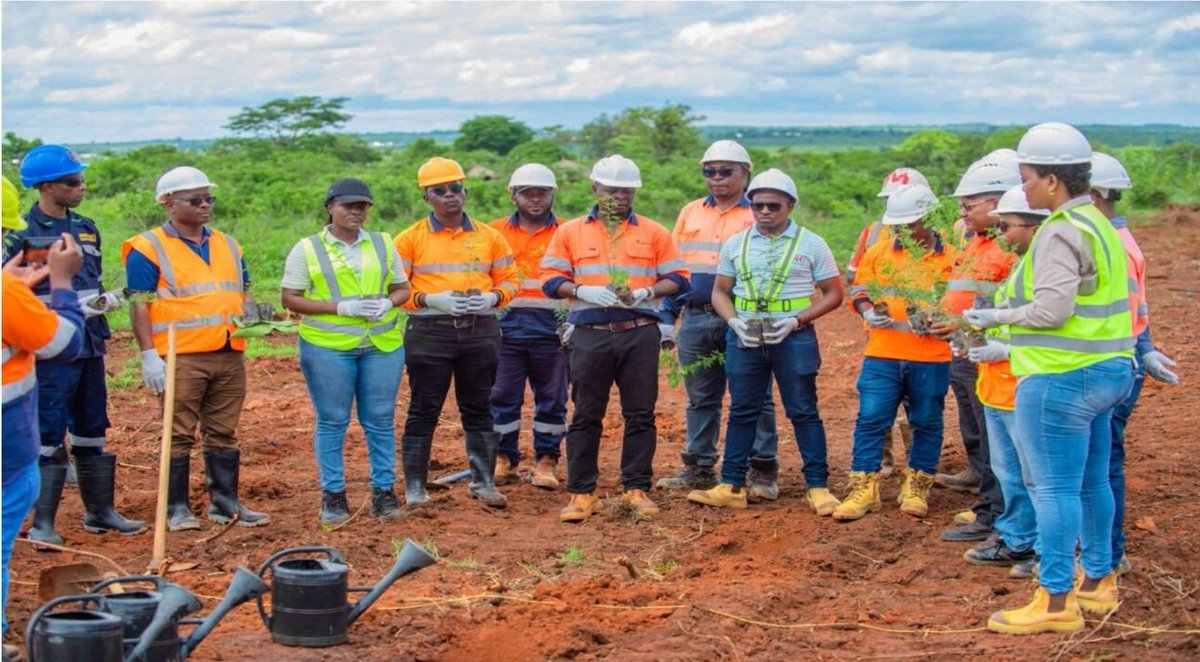 TRXGoldCorp's tweet photo. Our team at the Buckreef Gold Project are underway on another tree planting campaign, focusing on an area around our mining license boundary. The environment is important to us and maintaining it and ensuring its survival for future generations is top of mind.
#esgmining https://t.co/5zf9pNK3OW