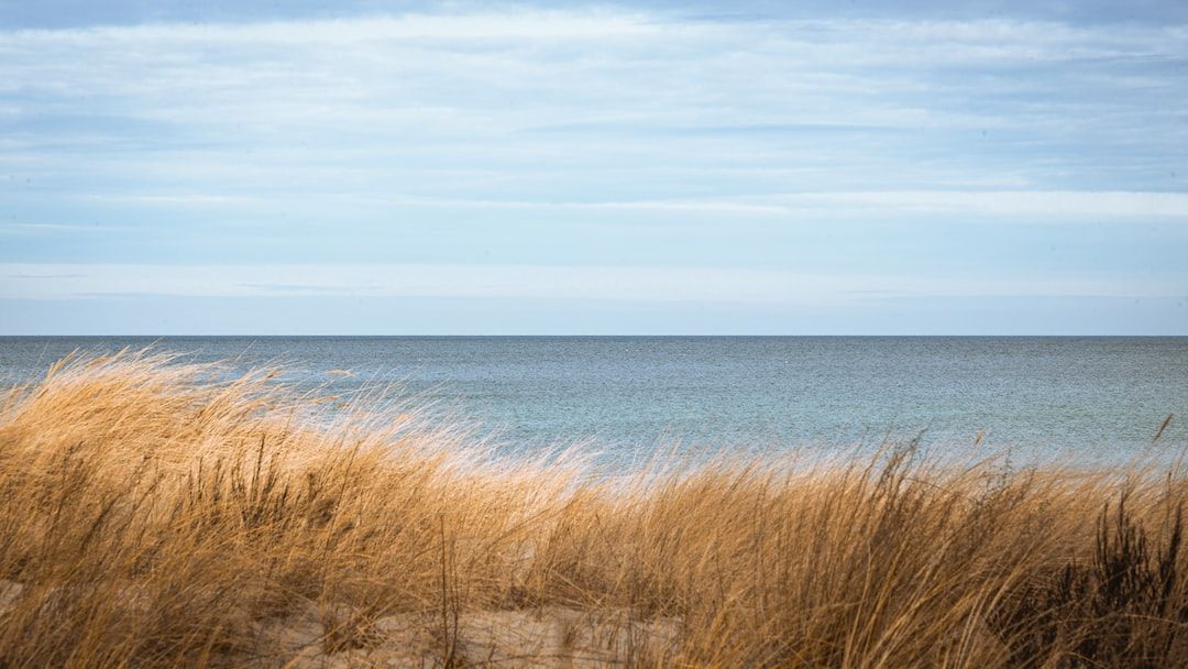 ArcherBerlin's tweet photo. Looking for a weekend or short vacation escape from your busy life at home? One destination we recommend is the Ostsee. Going for a walk on a foggy beach and then spending time in a beautiful wellness spa could be one option to spend your day. 

#weekendescape #ostseeshorttrip https://t.co/9nPr7GZvzf