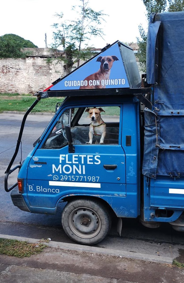 No lo dejan entrar con el compañero. 
Y él al compañero no lo deja por nada, a menos que el compañero se quiera tomar el día. 

Con ustedes, el compañero 👇🏻 😂 🥰
