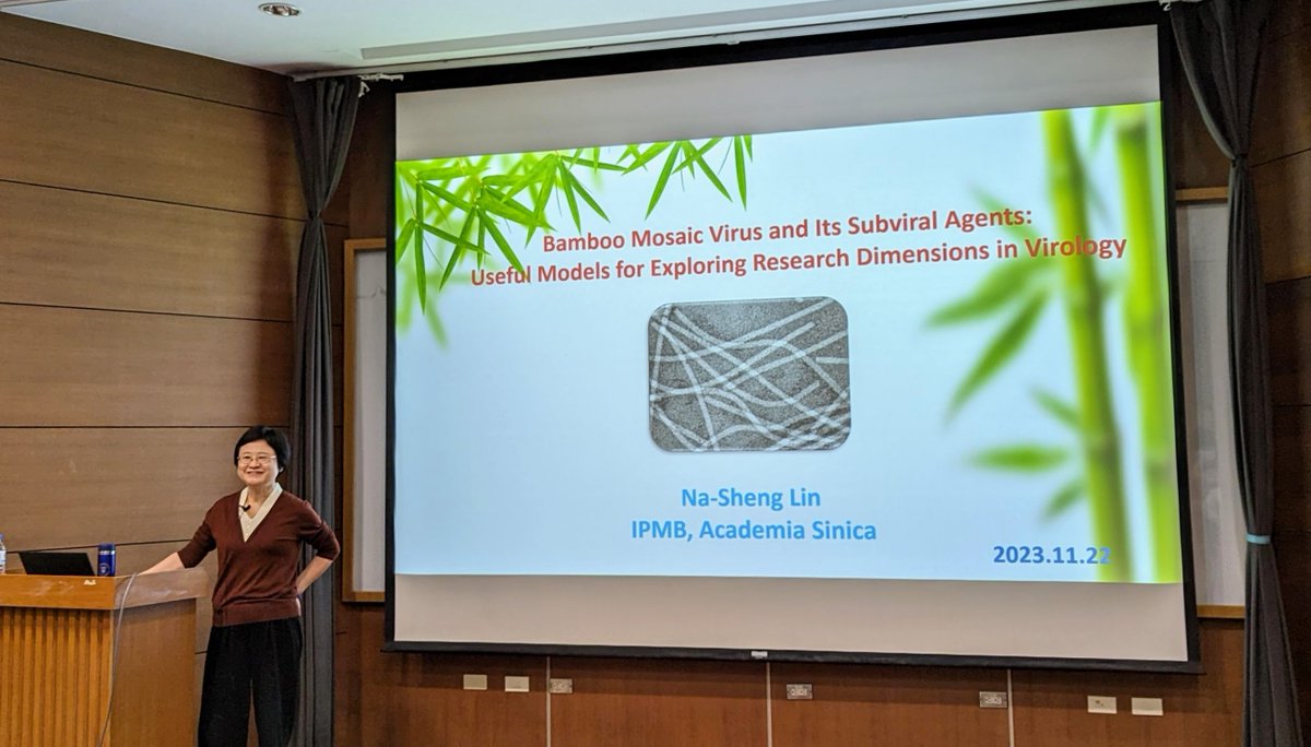 Chih-Horng Kuo (郭志鴻) (@chihhorngkuo) on Twitter photo The grand finale of "2023 <a href="/IPMBSinica/">IPMB Academia Sinica (中研院植微所)</a> Spotlight Seminars on Plant Viruses" by our Distinguished Research Fellow Dr. Na-Sheng Lin.
It is amazing how she dedicated >30 yrs to study bamboo mosaic virus and accomplished so much, also for being a role model for several other aspects. The grand finale of "2023 <a href="/IPMBSinica/">IPMB Academia Sinica (中研院植微所)</a> Spotlight Seminars on Plant Viruses" by our Distinguished Research Fellow Dr. Na-Sheng Lin.
It is amazing how she dedicated >30 yrs to study bamboo mosaic virus and accomplished so much, also for being a role model for several other aspects.
