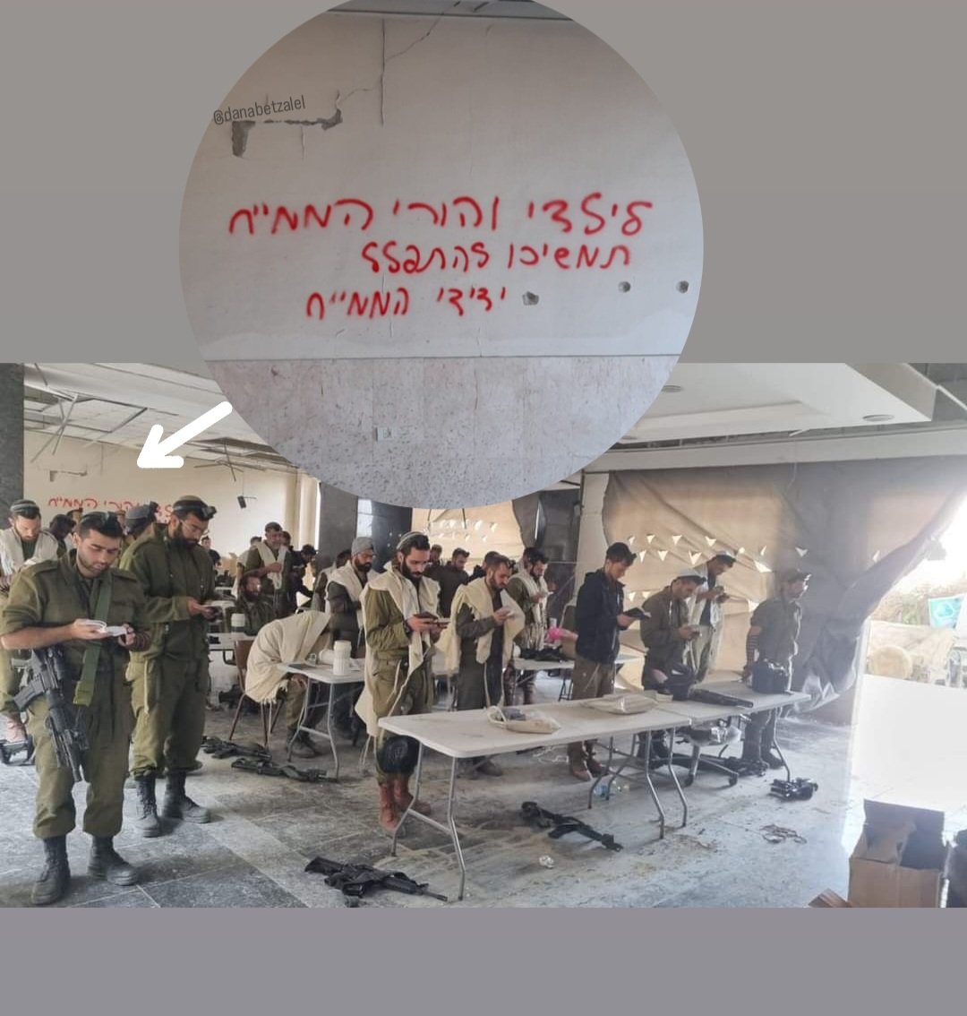 דנה בצלאל • dana betzalel tweet media