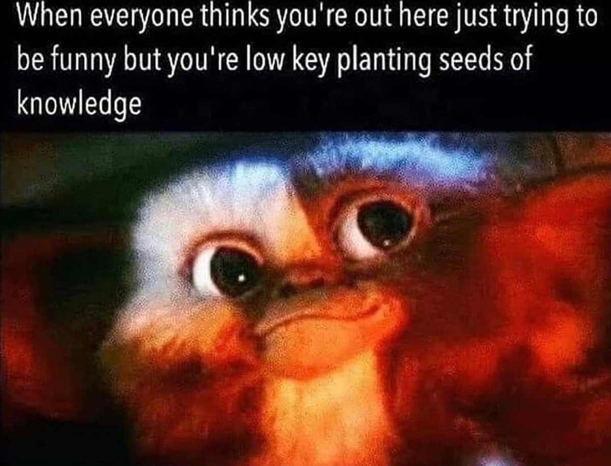 Jennifer Cooke tweet media