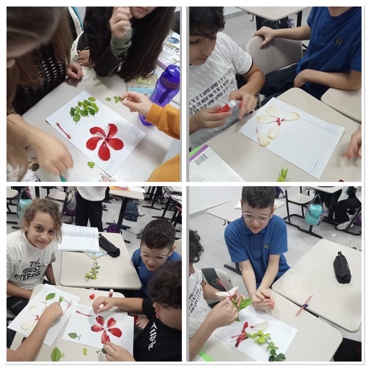 BioRHHS's tweet photo. 🌺The learners in 6C have applied the knowledge regarding the parts of a flower through its dissection🌺@RHHS_Saida @BioRHHS https://t.co/l2CFhdJzqe