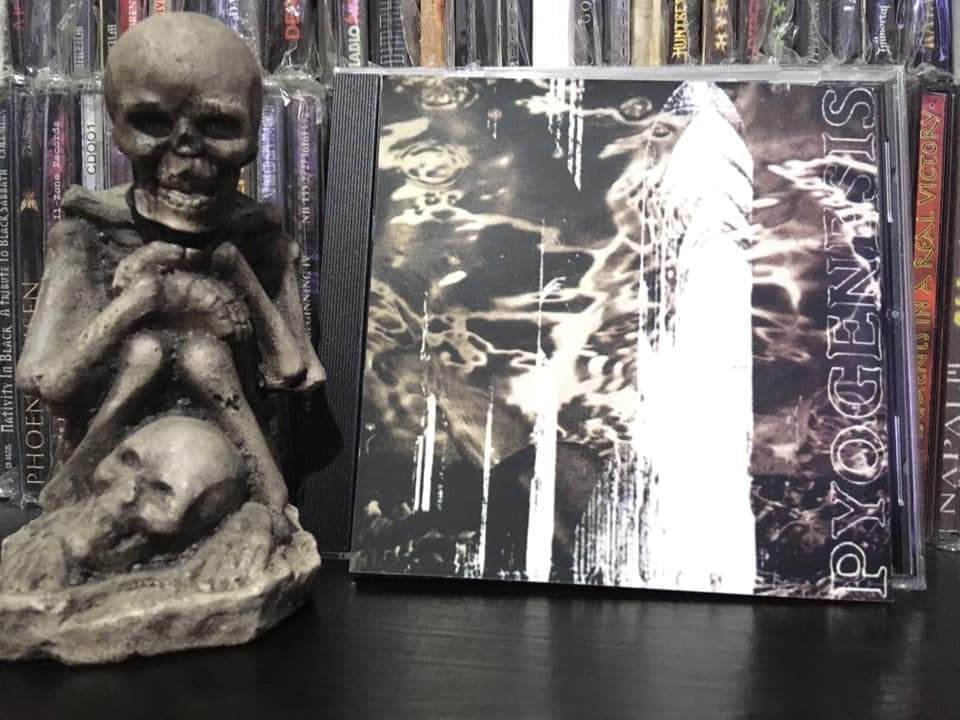 BlackieJhons's tweet image. 31 años del orgasmatral #IgnisCreatio de #Pyogenesis
@ThisDayInMETAL @BMplusLegions
@WikingWings @FMisanthropia
@HEADBANGERx666  @heriardjeanluc @HeavyMetal_999
@RockandMetalll @themetaltower
@historyrock_ @metalinjection
@blackmetaltv @BBeat105
👊🏼💀