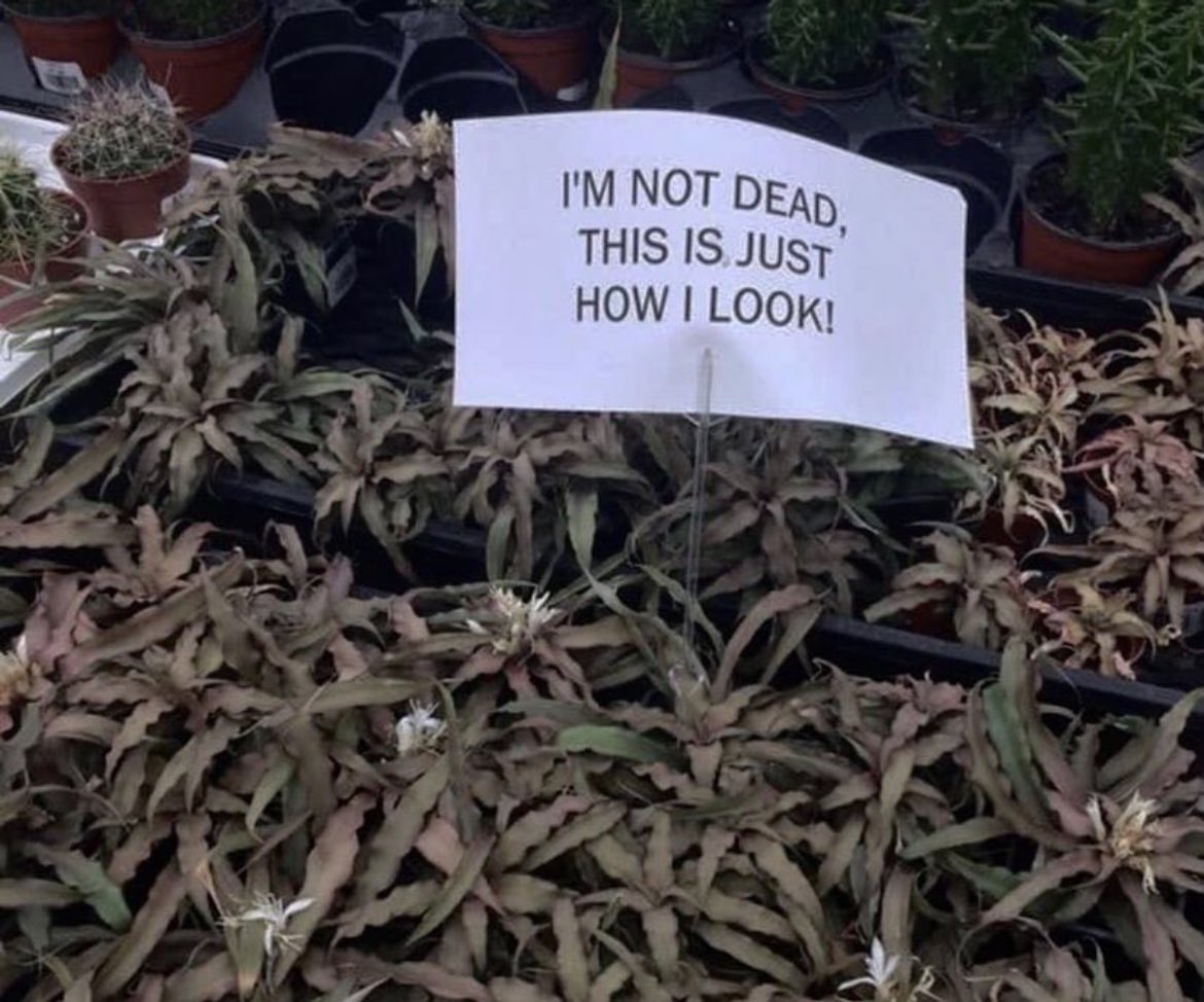 SoVeryBritish's tweet photo. Relatable. https://t.co/K7AiEyaO9k
