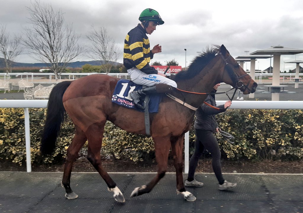 IrishRacing365's tweet photo. River Derwent and Adam Caffrey @DundalkStadium https://t.co/B8RejrG055