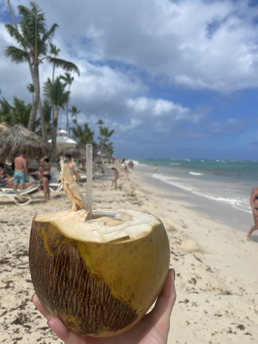 Gm. Feels so good to be back from paradise. Time to reconnect! If I got kicked from a group dm me please 😂🫡