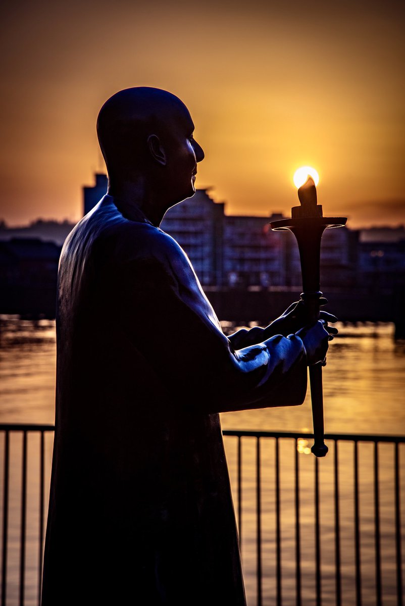 Shane White Photography tweet media