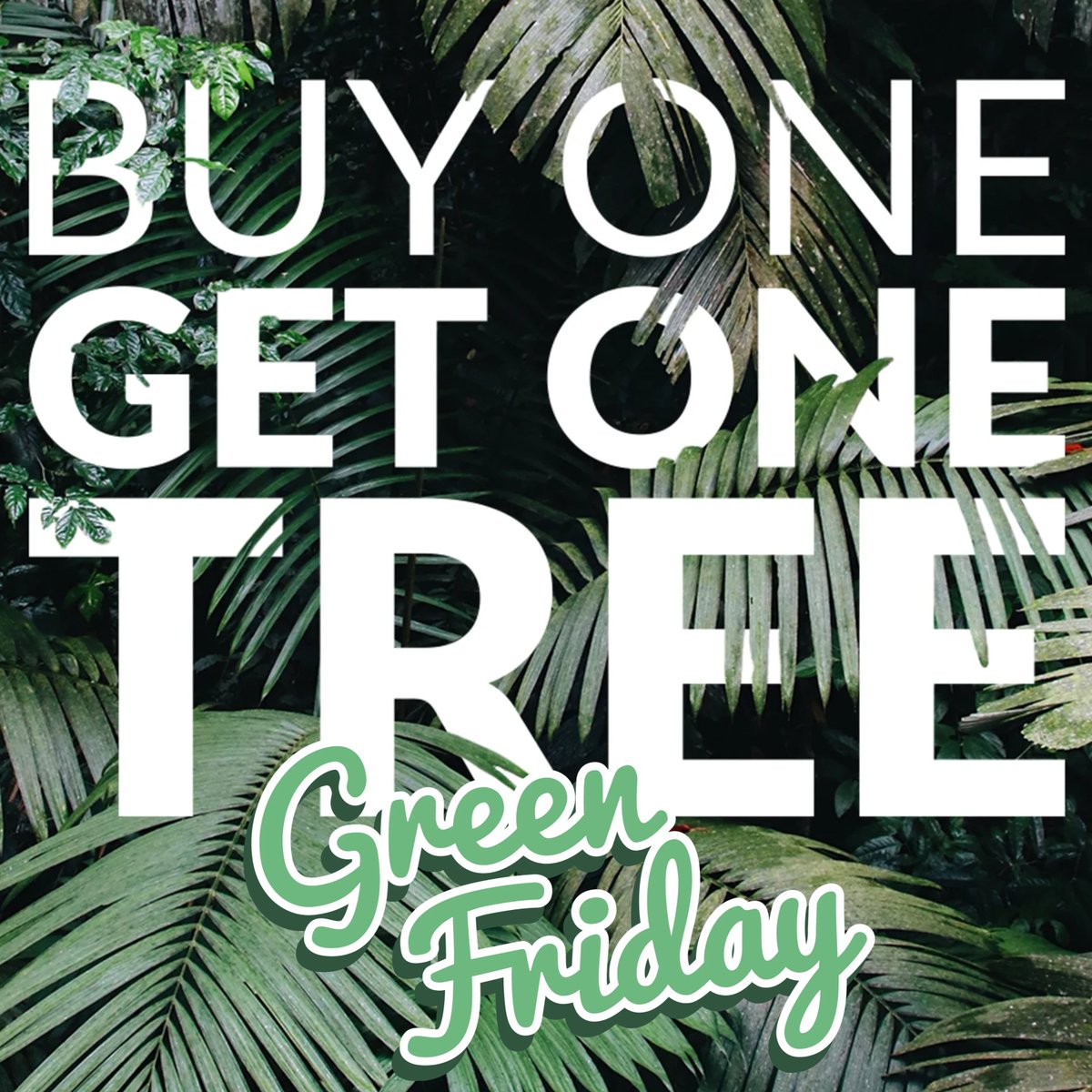 Black Friday is going Green everywhere! Spread the word! #greenfriday. 💚

Starting at 9am Friday we fund the planting of a tree with all orders you make. 🌱👏  

#buyonegetonetree #plantatree #treeplanting #treeplantation #treenation #sustainability #lovetrees #noblackfriday