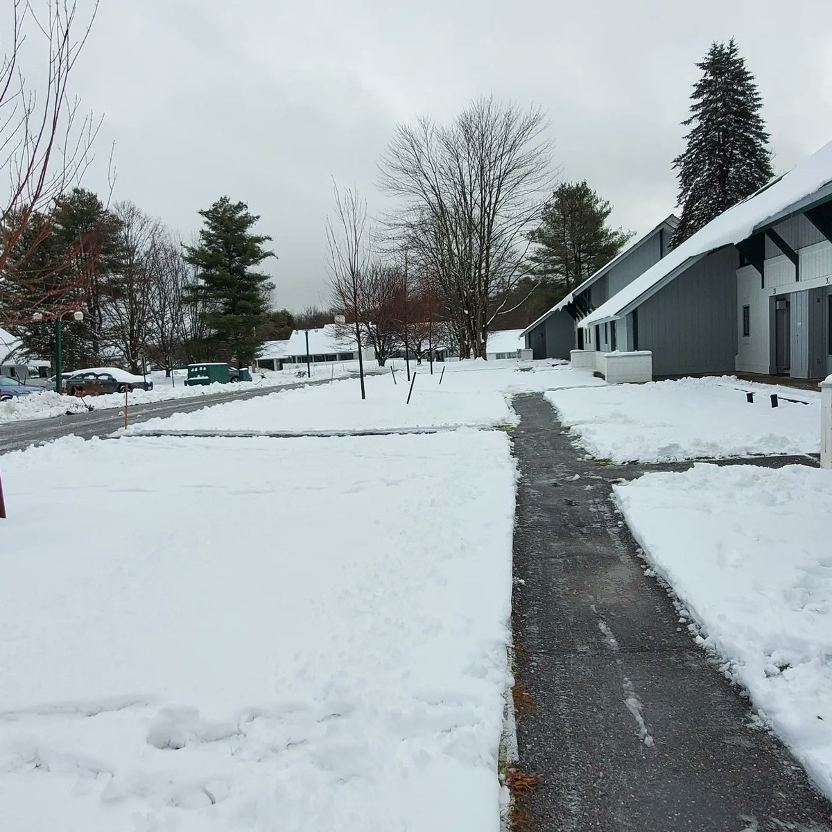 JustK1's tweet image. Vermont snow #dogsofwinter