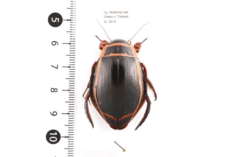 Insects-bne tweet media