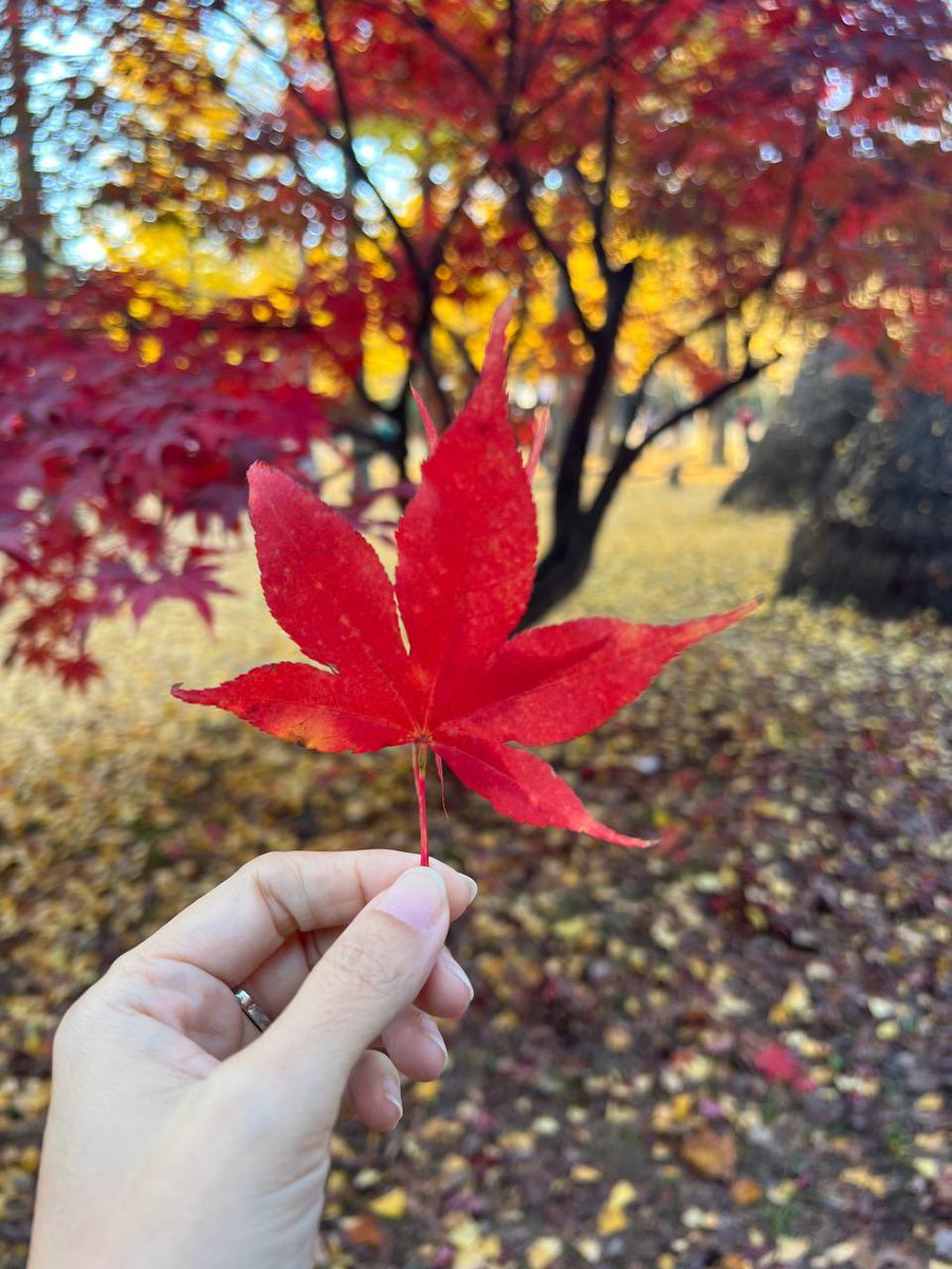 Sau tất cả, mình vẫn ở đây, vẫn làm những việc mình yêu thích, vẫn muốn được giao lưu kết nối với mọi người.
Mọi nổ lực cho page cũ của mình vẫn chưa thành công. Mình xin chấp nhận, biết ơn và đang mở lòng chào đón mọi điều mới mẻ phía trước.
🐢🐢