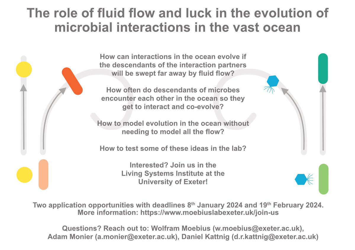 Updated advert! PhD project on the role of fluid flow and luck in the evolution of microbial interactions in the vast ocean - plenty of opportunity for the PhD student to shape this interdisciplinary project. Deadlines 8th Jan and 19th Feb 2024, see moebiuslabexeter.uk/join-us
