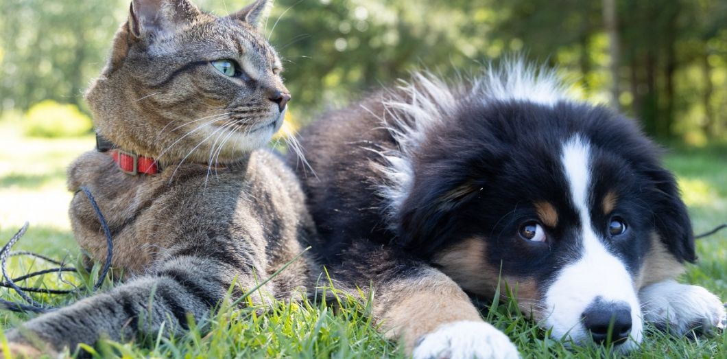 dircom69's tweet image. Les micro-expressions révèlent des sentiments cachés. Apprenez à les repérer pour mieux comprendre les émotions de vos interlocuteurs. #MicroExpressions #CommunicationNonVerbale