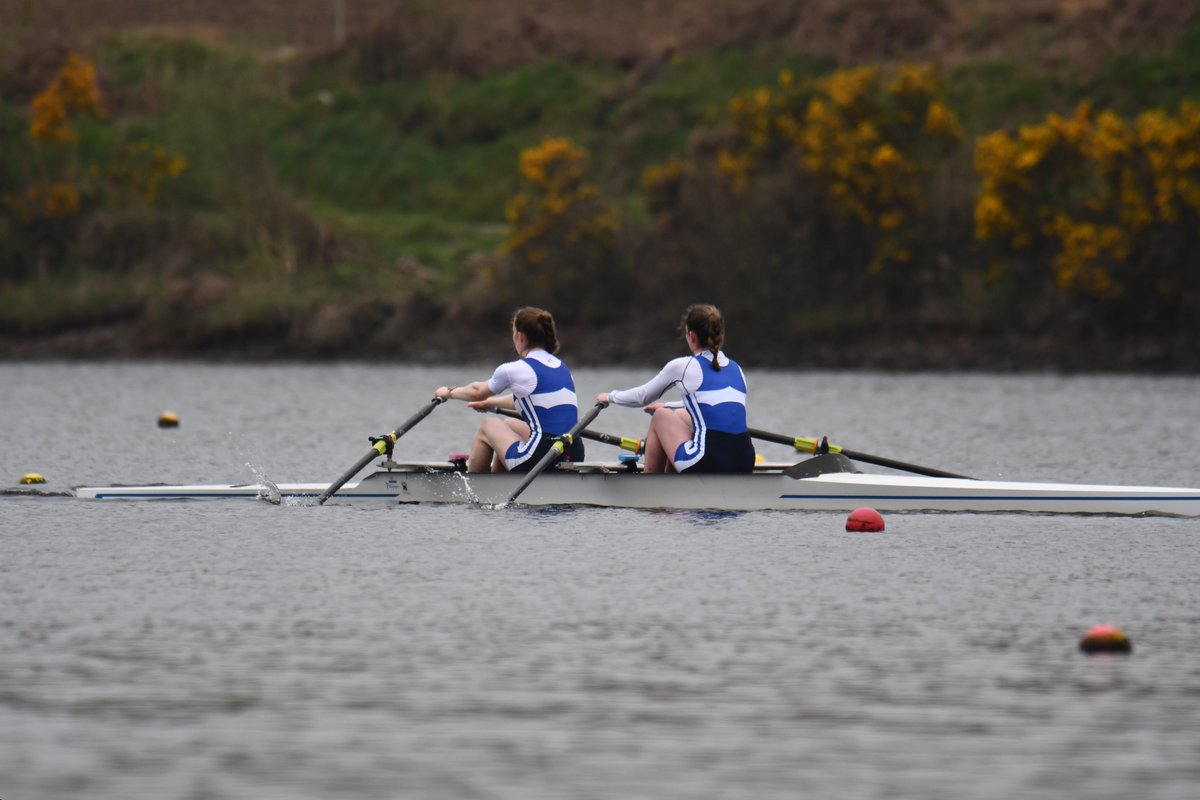 Rowing Ireland tweet media