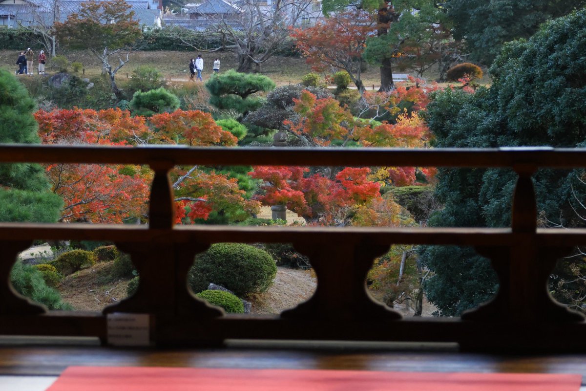 naga2camera's tweet photo. 防府　毛利邸庭園に秋を求めて🍂
#eosr7
#sigma 18-300mmf3.5-6.3dcmacro https://t.co/vmTL20zZWN