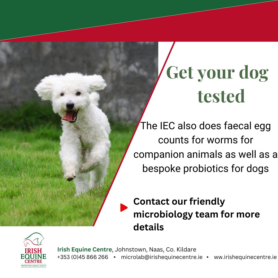 IrelandEquine's tweet photo. Don’t forget the IEC take samples from dog owners too to test for worms to increase your peace of mind
#irishdogs #irishdogsofinstagram #irishdogs☘️ #vetlaboratory #veterinarylaboratory https://t.co/qLmqqIOzCz