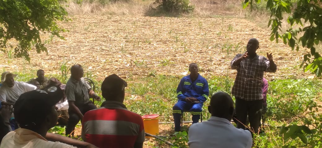 FOST Zimbabwe tweet media