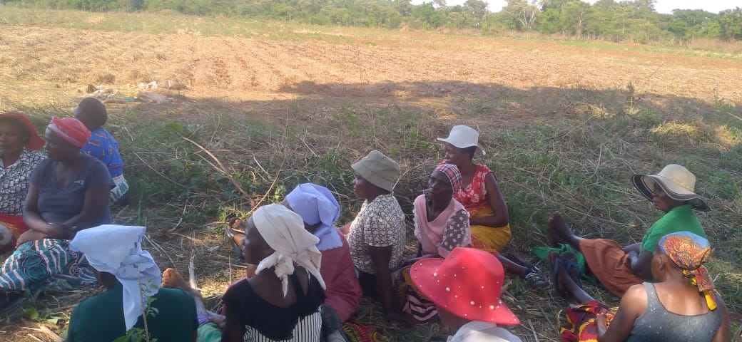 FOST Zimbabwe tweet media