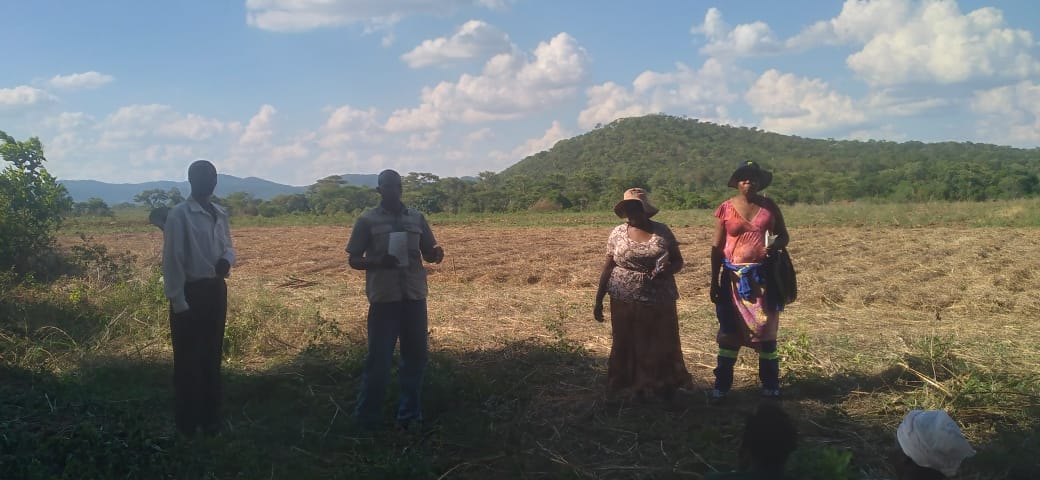 FOST Zimbabwe tweet media