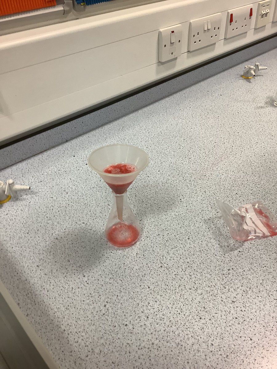 Strawberry DNA extraction in science club this week🧬🍓

<a href="/GrangemouthHS/">Grangemouth HS</a>