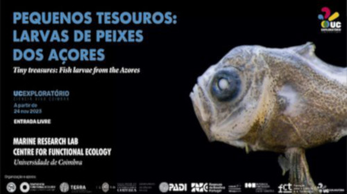 O UC Exploratório inaugura dia 24 uma exposição fotográfica de larvas de peixe das Reservas da Biosfera da UNESCO dos Açores e do processo de recolha de amostras que investigadores do DCV têm vindo a estudar nas comunidades de ictioplâncton de zonas estuarinas e costeiras.