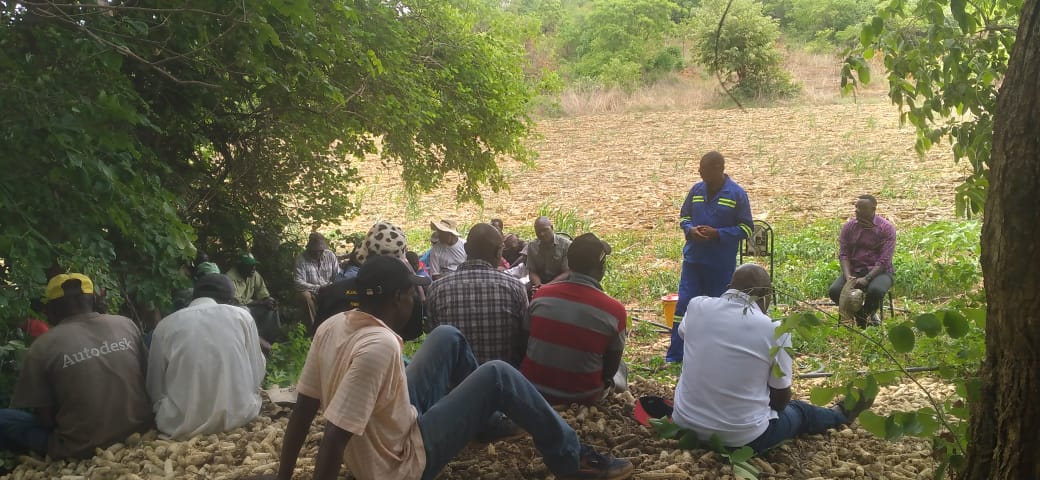 FOST Zimbabwe tweet media