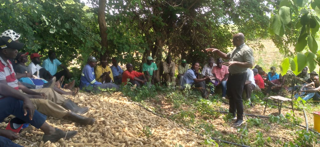 FOST Zimbabwe tweet media