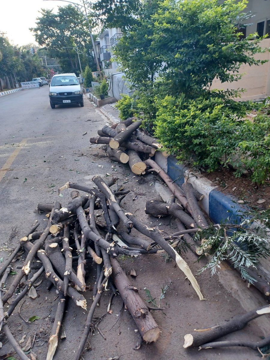 Alarming and horrendous act of tree cutting at #pavanipetal suncity Hyderabad .Never have I seen such ruthlessness towards trees! why would you cut downfull-grown trees instead of just pruning them off? #savetrees #savetheenvironment #savelife from these inhuman brutal actions.