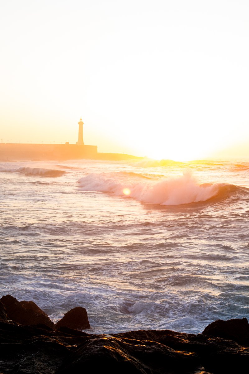 Flo Armengaud tweet media