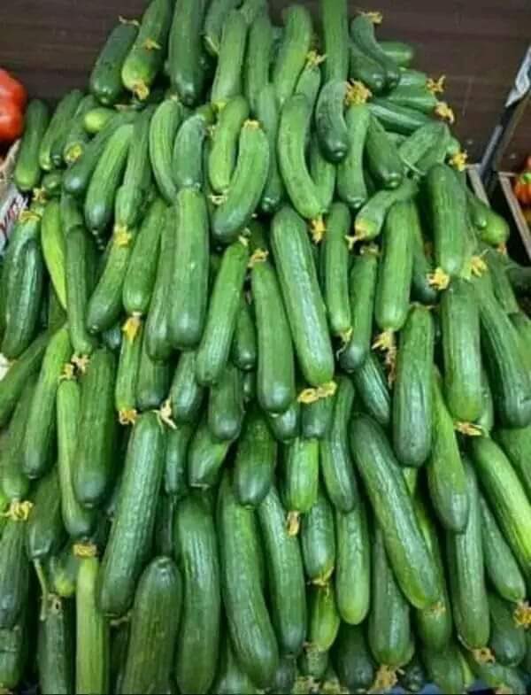 BBPP3M's tweet image. هــام للجميع:
حموضة المعدة : خيار 👌
الإمساك : لبن رايب👌
ارتفاع الضغط : ٢ موز 👌
ينزل الضغط مباشرة
الإسهال : قهوة و تعصر عليها ليمون 👌
الزكام : شاي مع ليمون 👌
الشد العضلي : أفوكادو لأن به أعلى نسبة من المغنيسيوم
الكولسترول : قطعة صغيرة قبل النوم من الباذنجان المقشر يعطي نفس…