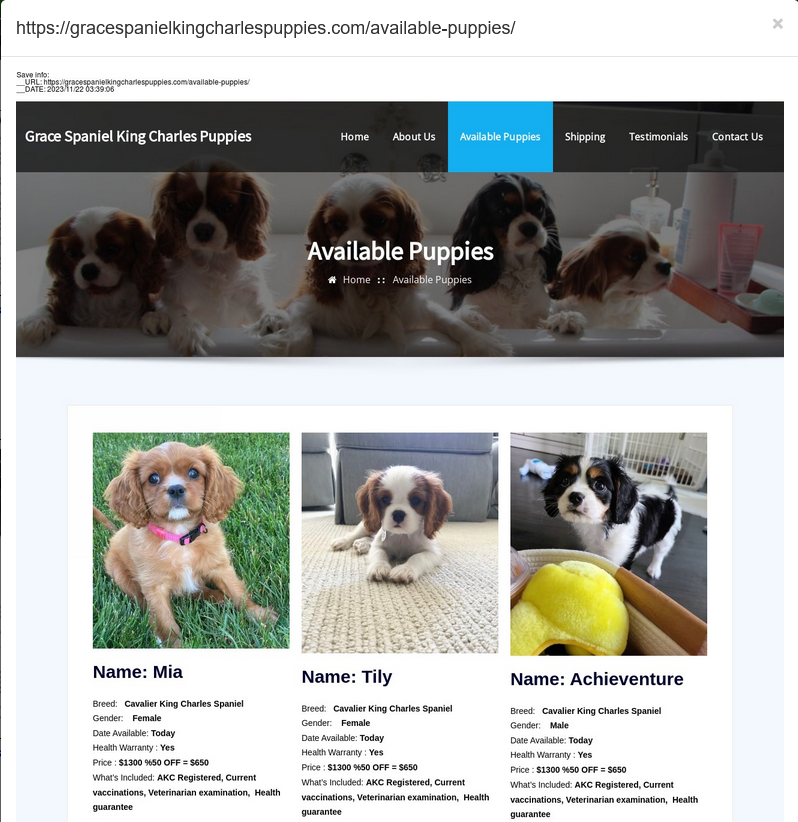 aa419's tweet photo. Welcome to the #DogGone syndicate. 

Australia and the Americas is also on these fraudsters' menu, and it's not only pets.

https://t.co/Ve79Ummri1 https://t.co/vD4nwRKoiY