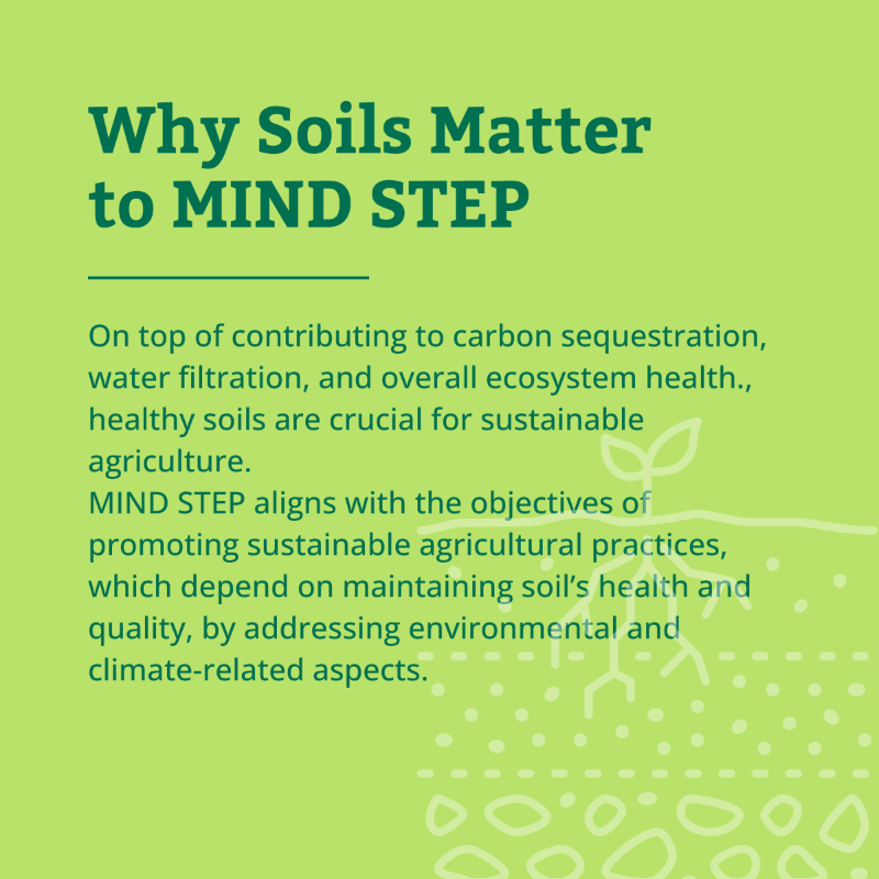 MindstepP's tweet photo. 🌍 #DidYouKnow healthy soils are vital for sustainable agriculture?  🤔

Join us as we explore the profound impact of soil health on agricultural, environmental, and climate policies in this joint campaign with @BcomingEU. 

Check their profile for more content! 

SoilsDay @UN