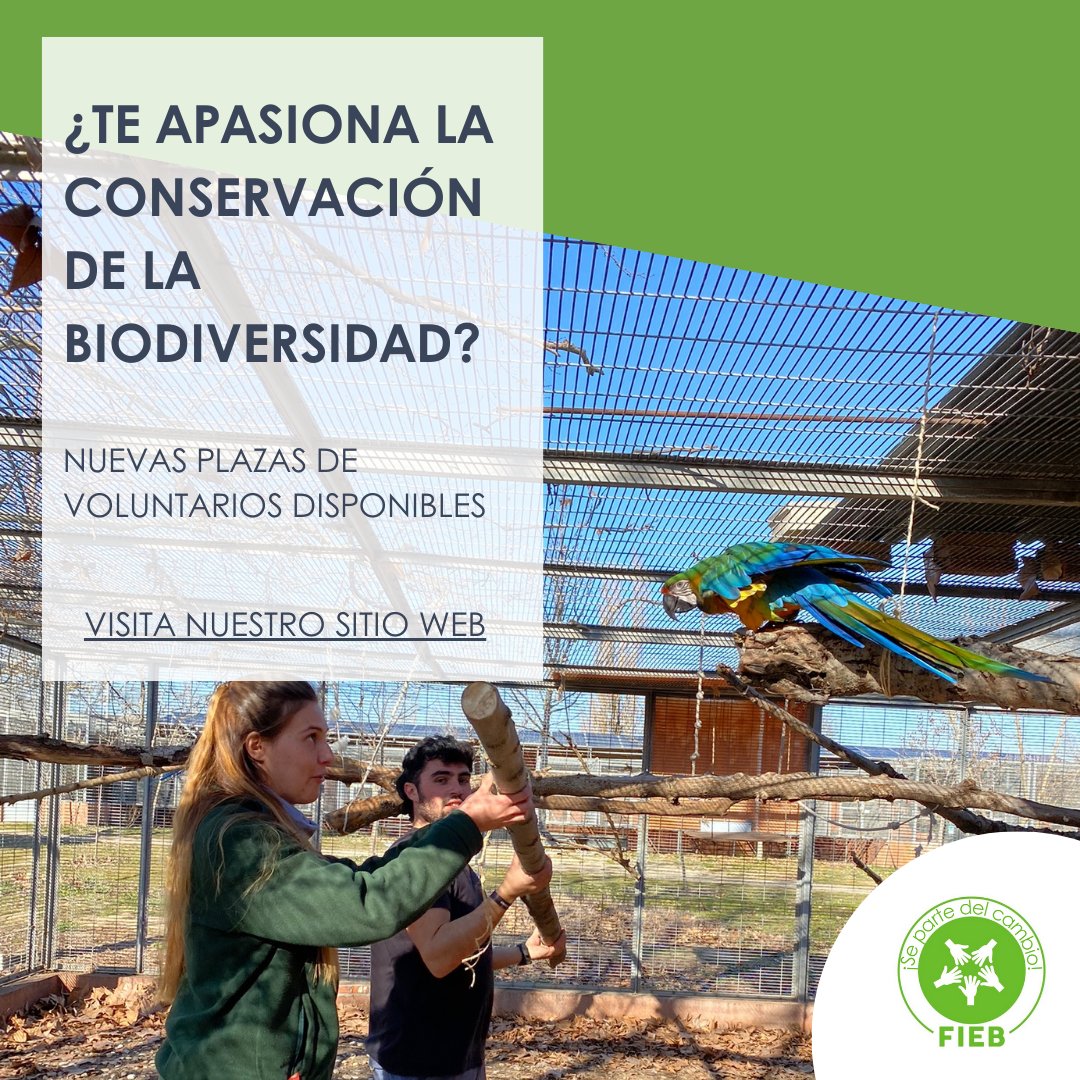 ¡Únete a nuestro equipo de voluntarios! 🌿

¡No dudes en contactarnos si estás interesado! Escríbenos a voluntariado@fiebfoundation.org. 
Para obtener más detalles, visita el apartado "Colabora" en nuestra página web (enlace en la biografía). 🌎💚 #VoluntariadoAmbiental