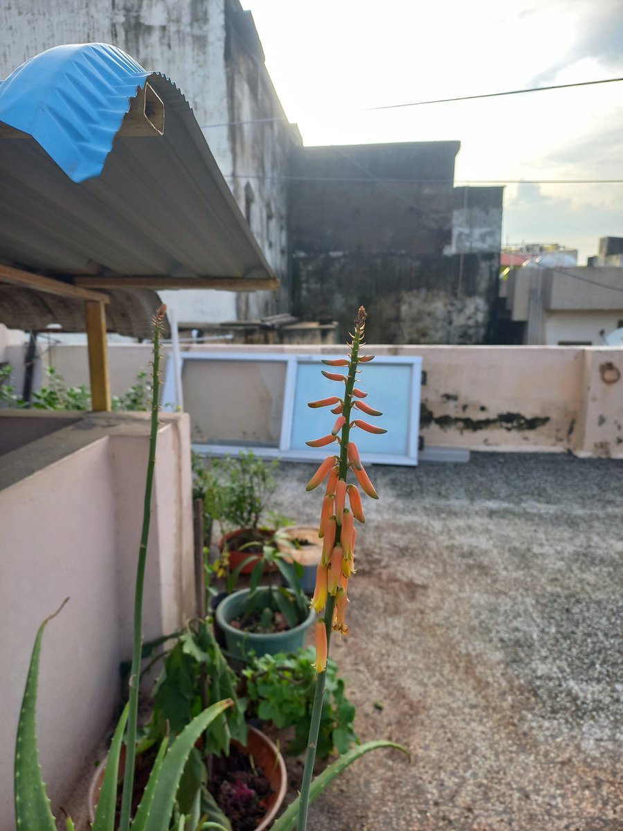 gowthamudharasa's tweet image. ✌️